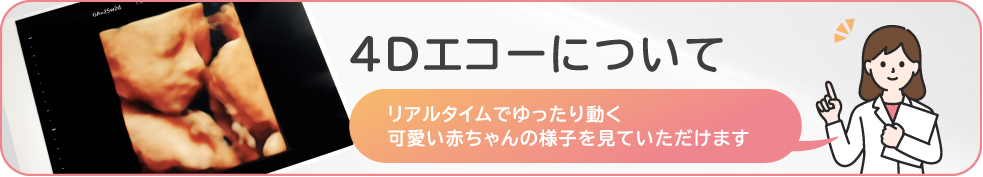 4Dエコーについて